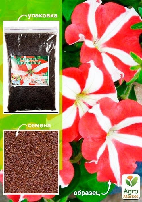 Петуния "Звездопад" ТМ "Весна" 100г