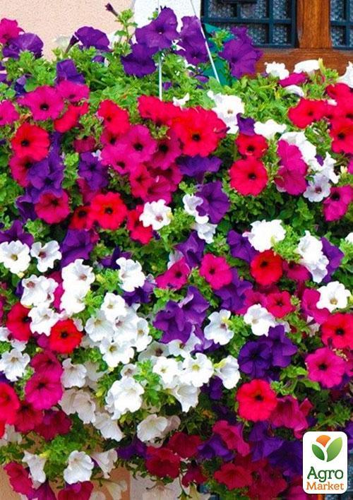 Петунія "Ампельна" (Зипер) ТМ "Весна" 1г - фото 3