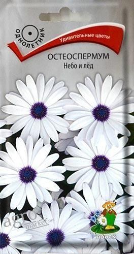 Остеоспермум "Небо и лед" ТМ "Поиск" 0.1г