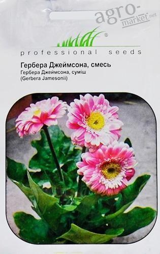 Гербера "Джеймсон" суміш ТМ "HEM Zaden" 0.1г