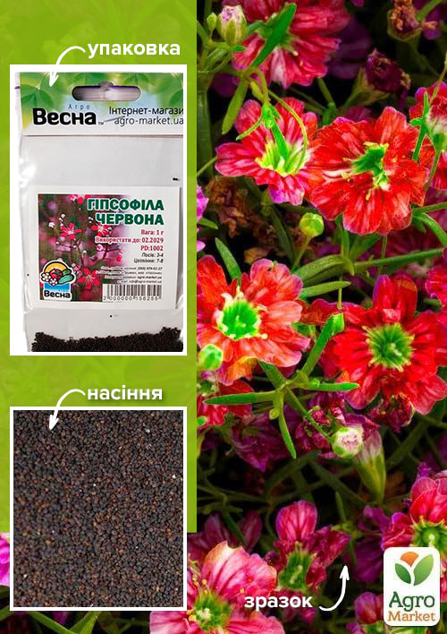 Гипсофила красная (Зипер) ТМ "Весна" 1г