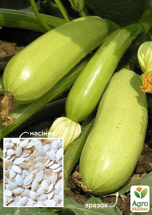 Кабачок "Іскандер" (Зіпер) ТМ "Весна" 5шт