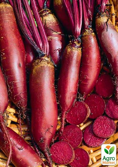 Буряк "Циліндра" (Зипер) ТМ "Весна" 6г - фото 2