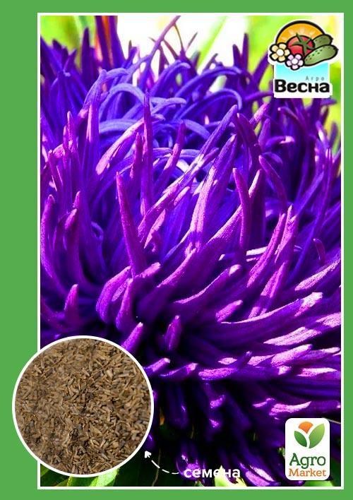 Астра "Синдерелла" ТМ "Весна" 0.2г