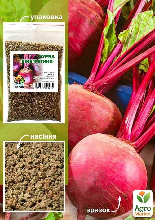 Буряк "Вінегретний" ТМ "Весна" 100г
