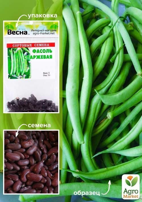 Квасоля спаржева "Зелена" (Зипер) ТМ "Весна" 5г