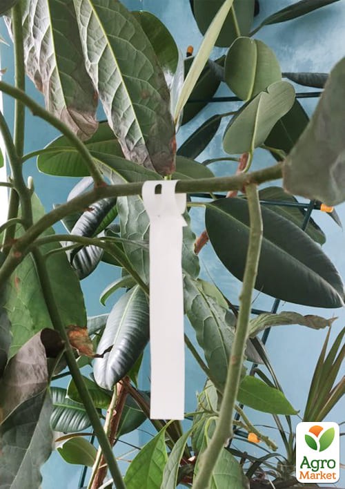 Бірка для маркування рослин "Петелька Tyvek" 1000шт 25x216мм - фото 2