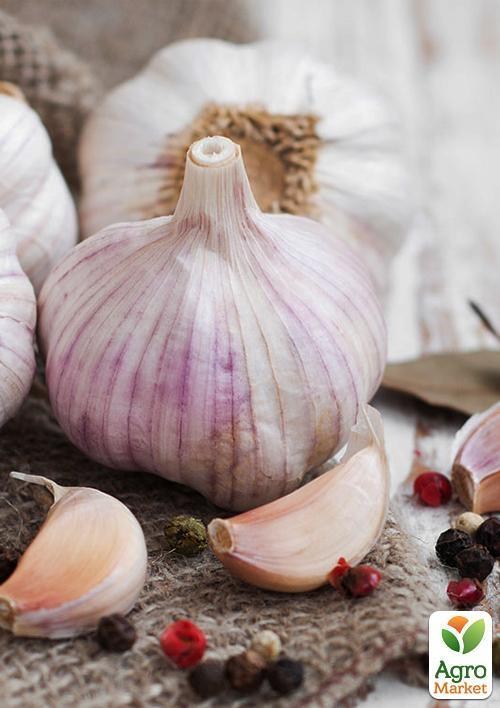 Часник посадковий озимий (головка) "Краснодарський" 0,5кг