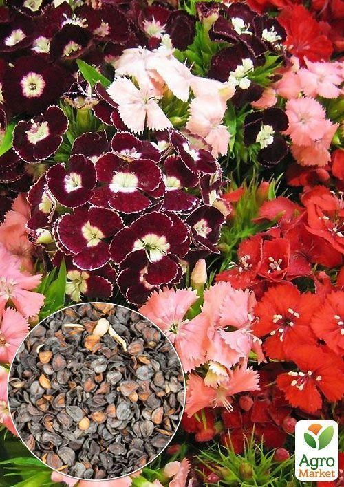 На вагу Гвоздика Альпійська суміш ТМ "Весна" ціна за 1,5г