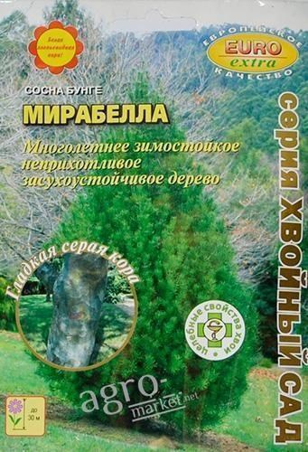 Сосна бунге "Мирабелла" ТМ "Аэлита" 0.8г