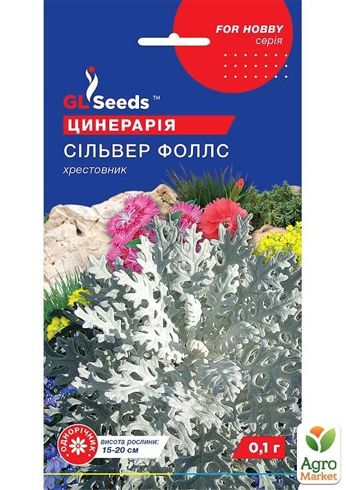 Цинерарія "Сільвер Фоллс" ТМ "GL SEEDS" 0.1г