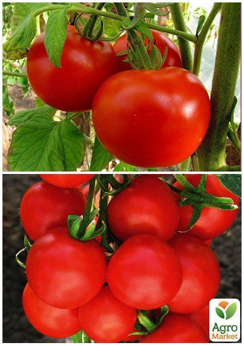 На развес Томат "Иришка" ТМ "Весна" цена за 1г - фото 3