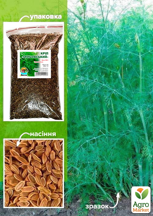 Укроп "Грибовский" ТМ "Весна" 500г