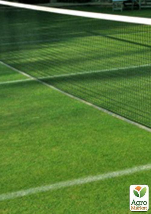 Газонная травосмесь "Спортивная" ТМ "Семейный сад" 800г - фото 2