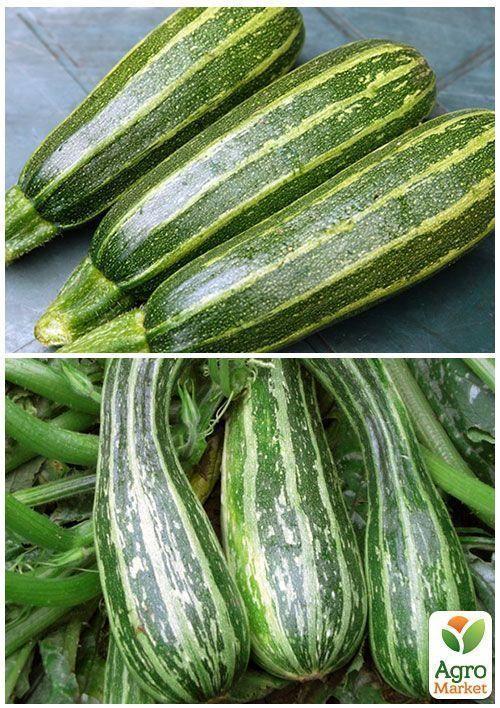 На развес Кабачок "Зебра" ТМ "Весна" цена за 8г - фото 3