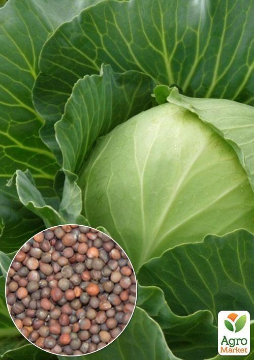 На вагу Капуста "Червнева" ТМ "Весна" ціна за 4г