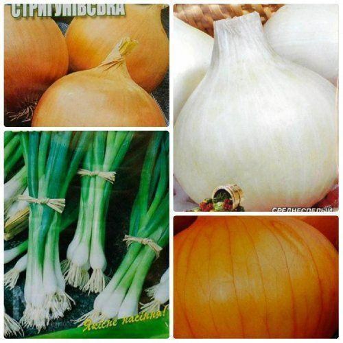 Комплект семян лука "Веселый пучок" 5уп