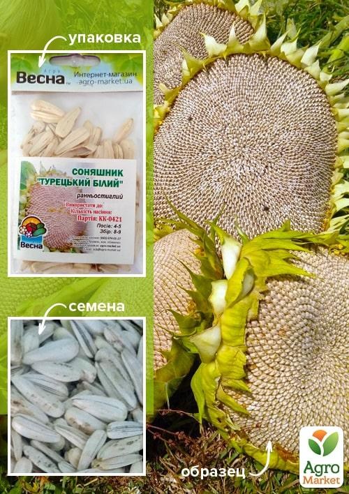 Соняшник "Турецький білий" (Зипер) ТМ "Весна" 10г