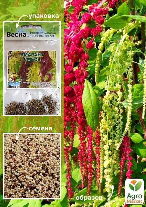 Амарант "Смесь" (Зипер) ТМ "Весна" 1г