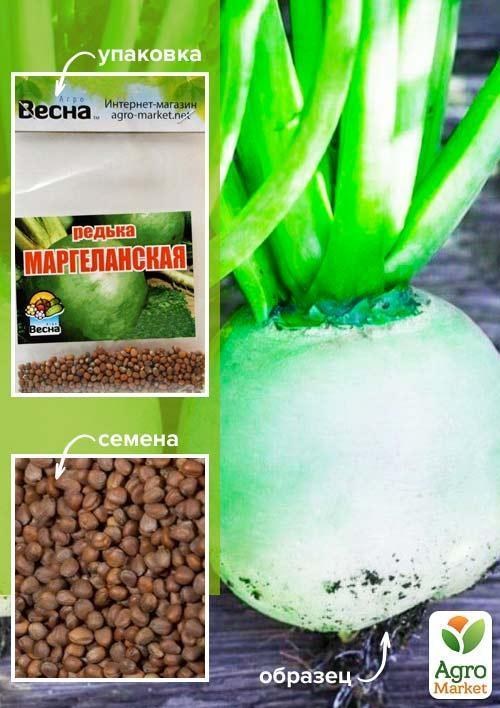 Редька "Маргеланська" (Зипер) ТМ "Весна" 5г