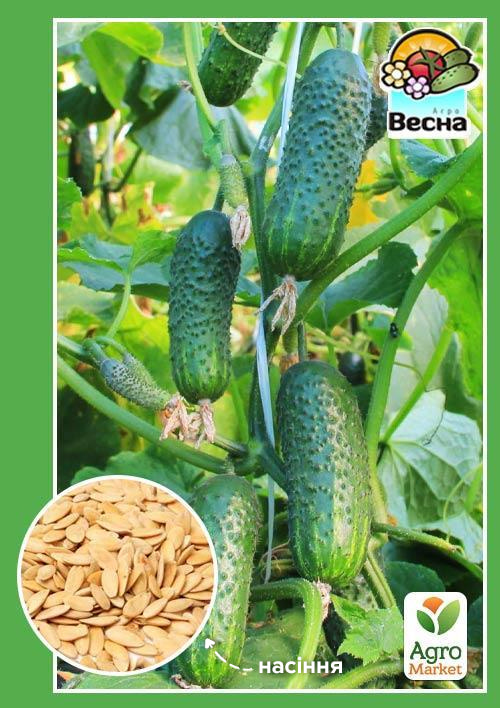 Огірок "Смарагдові сережки F1" (Новий пакет) ТМ "Весна" 0.25г
