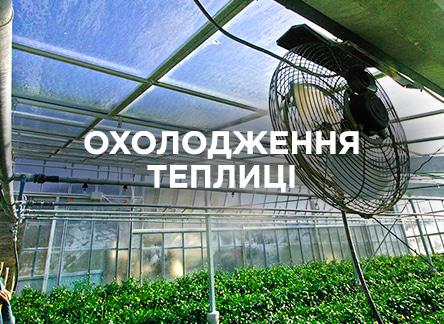 Як охолодити теплицю в спеку?