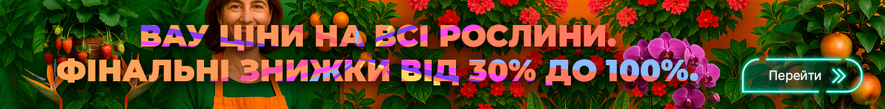 Семена овощей и цветов
