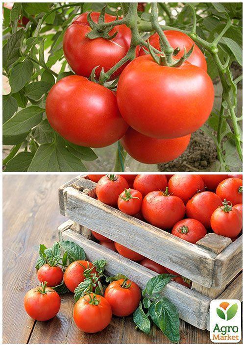 На вагу Томат "Ляна" ТМ "Весна" ціна за 1г - фото 2
