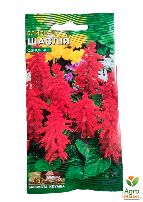 Сальвия блестящая ТМ "Весна" 0.1г - фото 2