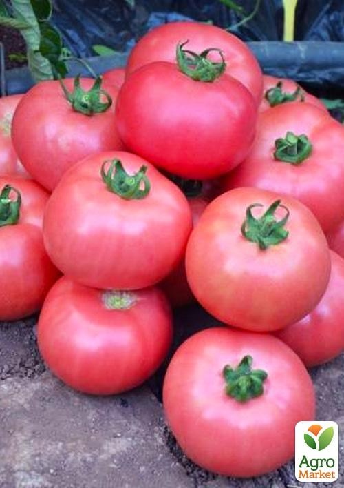 Томат "Несушка" ТМ "Vesna Select" 0.2г