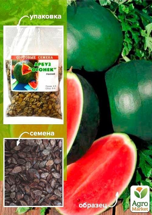 Арбуз "Огонек" ТМ "Весна" 100г