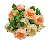 Саженцы пионовидных роз