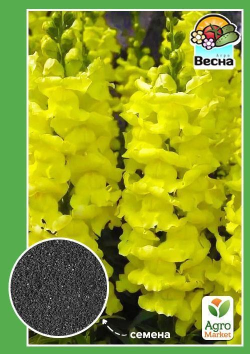 Львиный зев желтый ТМ "Весна" 0.1г