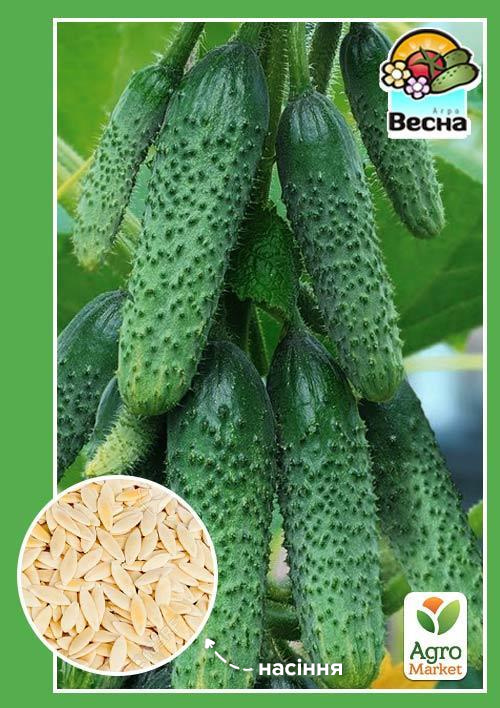 Огірок "Веселі гномики F1" (Новий пакет) ТМ "Весна" 0.25г