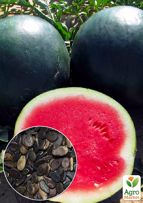 На развес Арбуз "Гурман" ТМ "Весна" цена за 6г