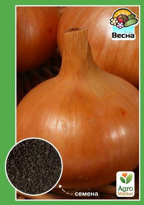 Цибуля "Глобус" ТМ "Весна" 2г