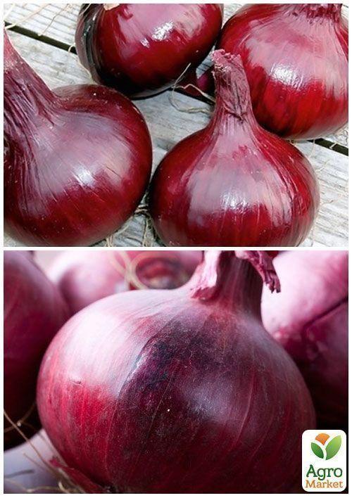 На развес Лук "Кармен" ТМ "Весна" цена за 5г - фото 3