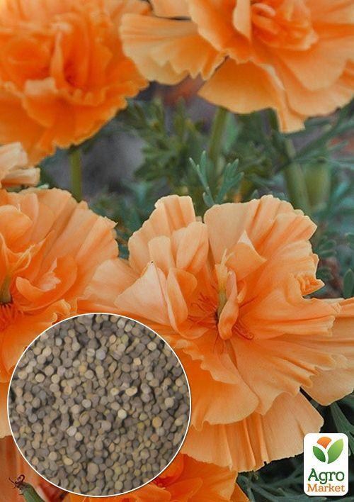 На вагу Ешшольція "Тайський Шовк" ТМ "Весна" ціна за 2г