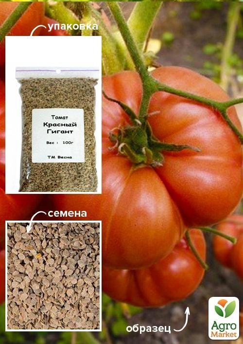 Томат "Червоний гігант" ТМ "Весна" 100г