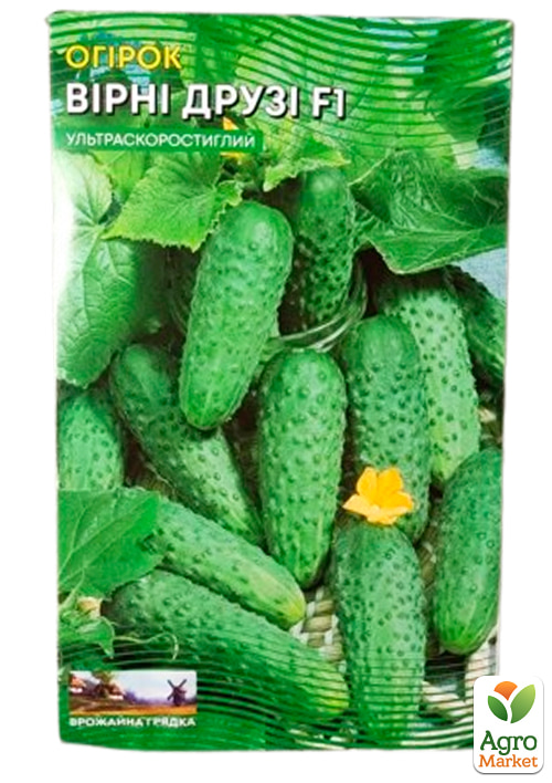 Огірок "Вірні Друзі F1" (Великий пакет)  ТМ "Весна" 0.5г - фото 2