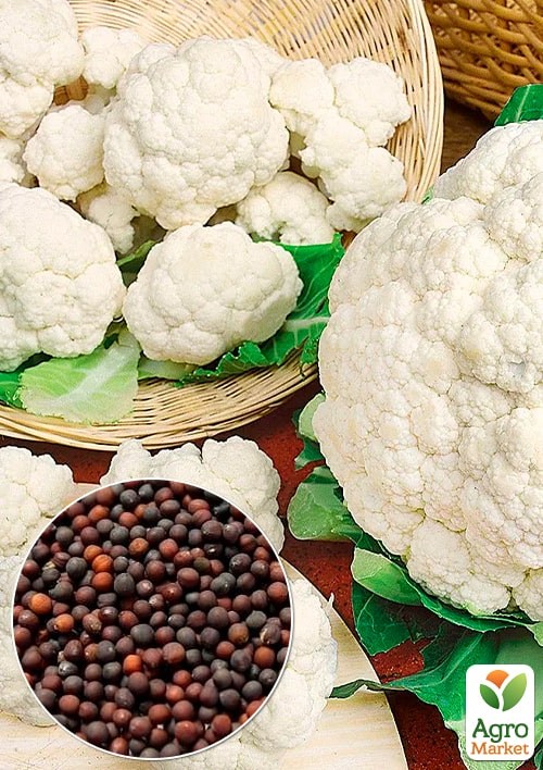 Капуста цвітна "Білий замок" (Зипер) ТМ "Весна" 1г