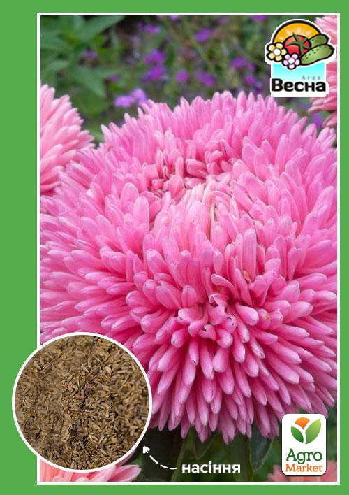 Астра "Нина" ТМ "Весна" 0.2г