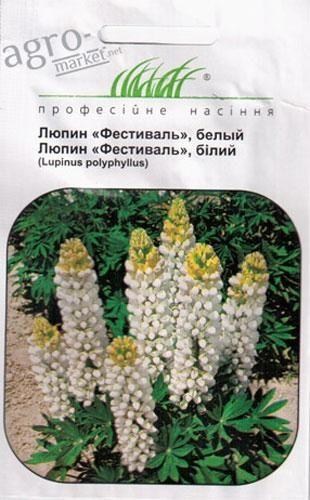Люпин "Фестиваль" Белый ТМ "Hem Zaden" 0.4г