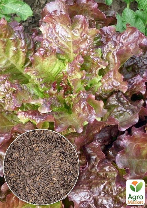 На развес Салат "Десерт" ТМ "Весна" цена за 5г