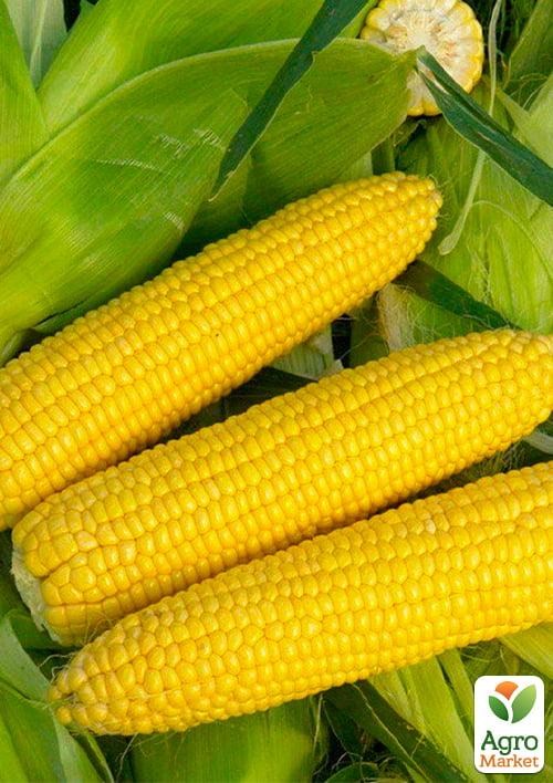 Кукуруза "Оверленд F1" ТМ "Syngenta" 5000шт.