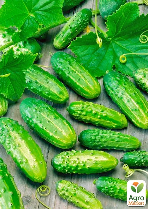 Огірок "Форум F1" ТМ "Весна" 0.2г - фото 2