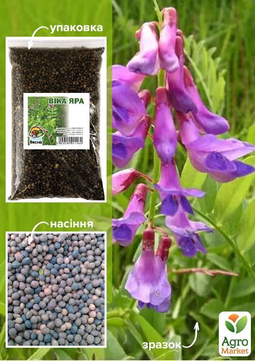 Вика яровая ТМ "Весна" 1кг