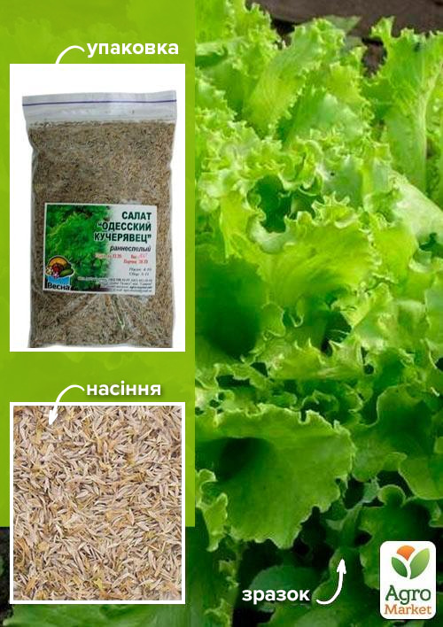 Салат "Одеський кучерявець" ТМ "Весна" 100г