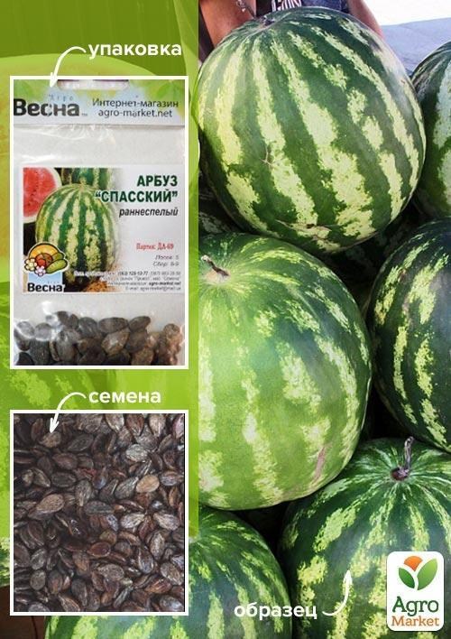 Арбуз "Спасский" (Зипер) ТМ "Весна" 4г