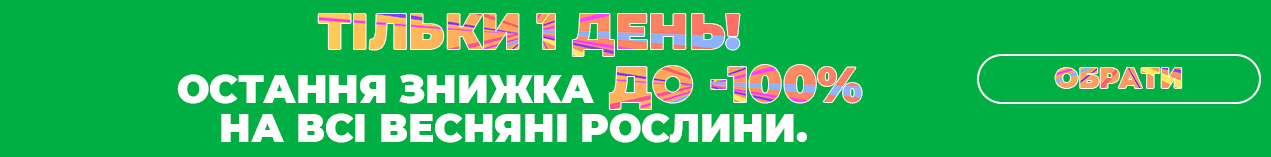Насіння овочів та квітів